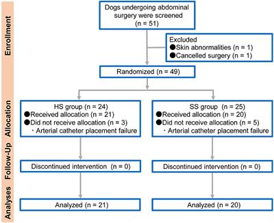 Heparinized Saline Solution vs. Saline Solution (0.9% Sodium Chloride) for the Maintenance of Dorsal Pedal Arterial Catheter Patency in Dogs Undergoing General Anesthesia: A Pilot Study